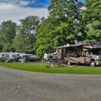 campers parked at campsite with trees
