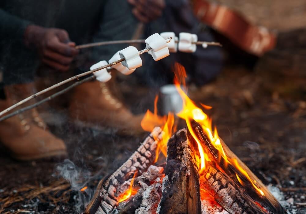 People roasting marshmallows over campfire