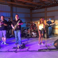 people playing instruments and singing in a live band